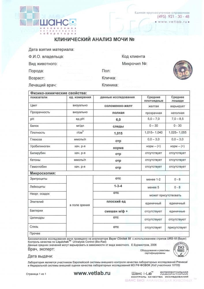 Если я подписала уведомление о сокращении и узнала что беременна 82
