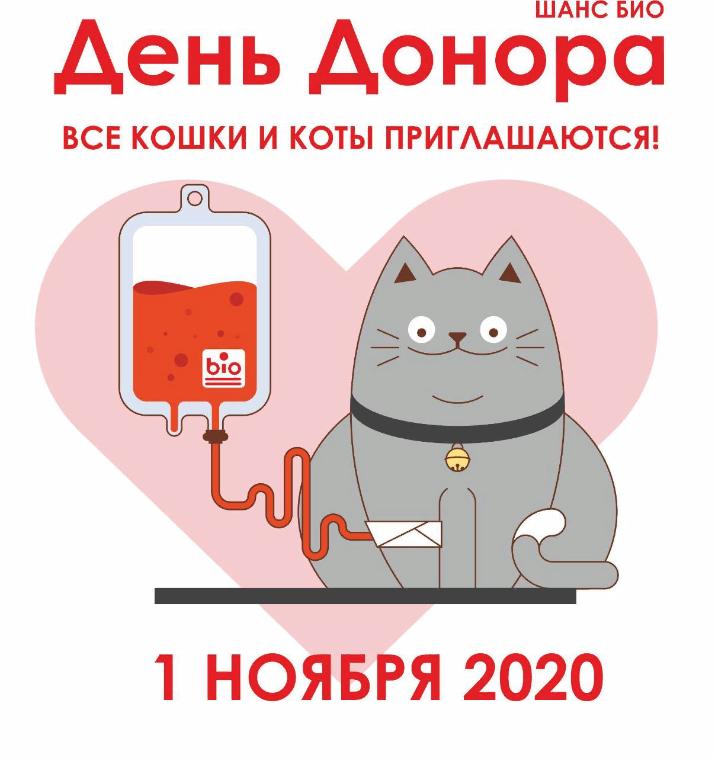 «День кошек-доноров»